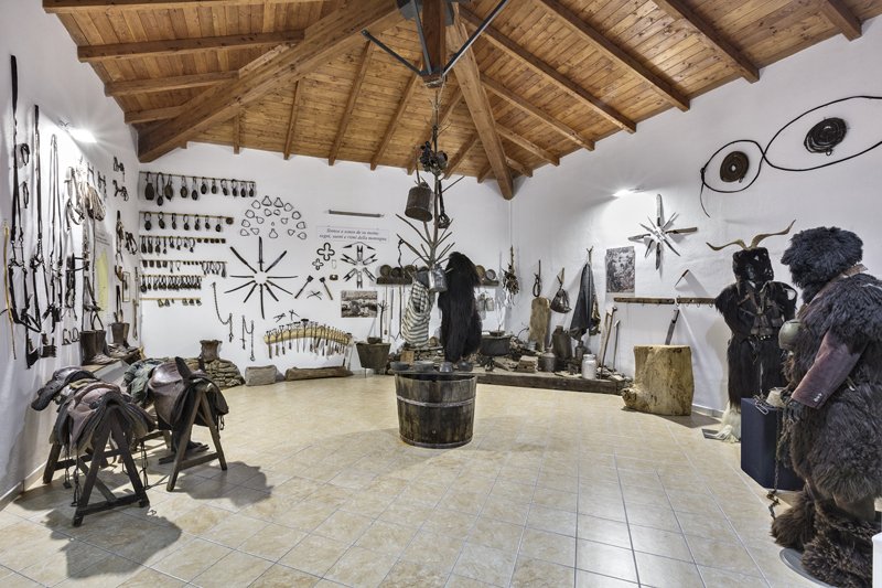 Sala 1 - Il pastoralismo