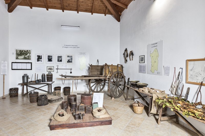 Sala 2 - L’umanità itinerante